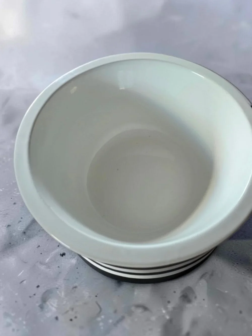 Vintage PIER 1 RARE Wide Rim White Ceramic Bowl 10.5